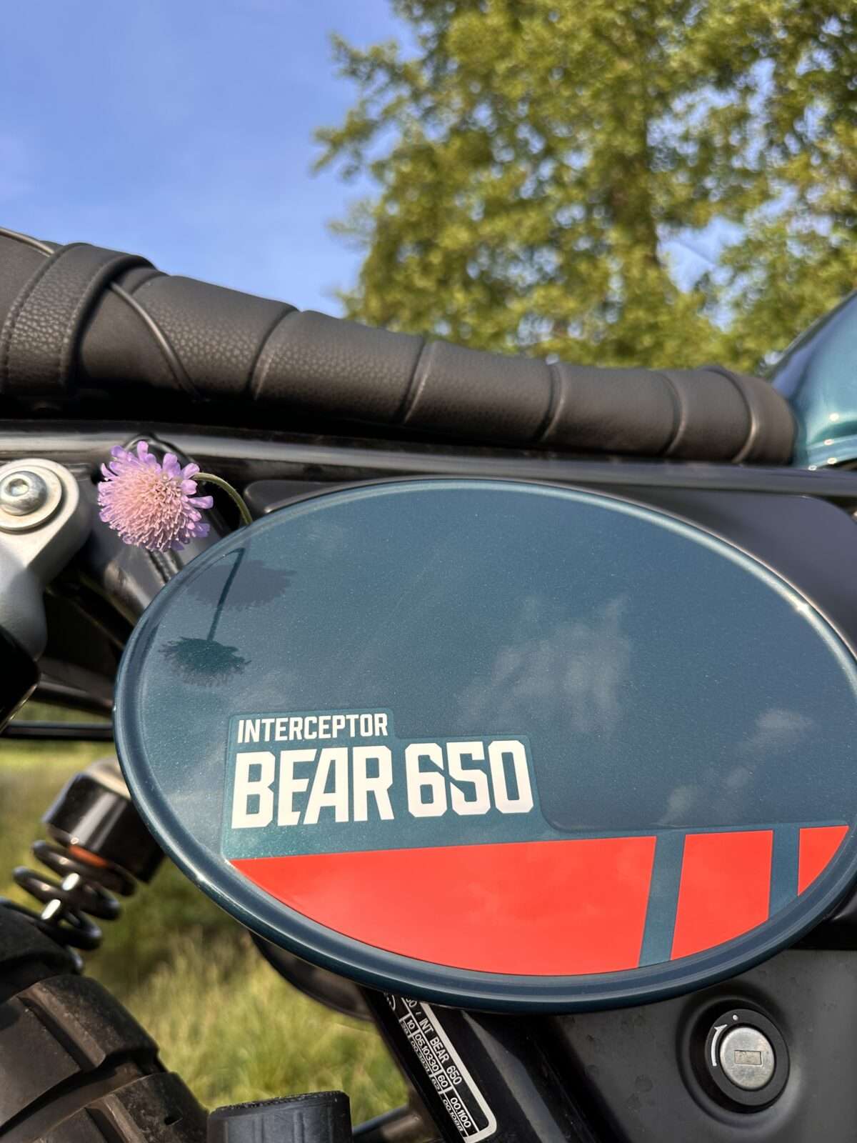 Royal Enfield Bear 650 Test: Charlize Theron auf zwei Rädern. Unser Eindruck nach 1.804 km 10 IMG 5279