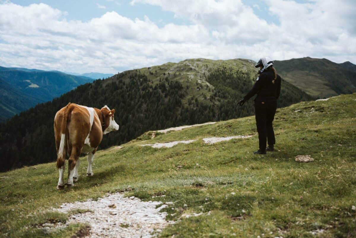 WhatsApp Image 2025 12 16 at 18.55.23 1